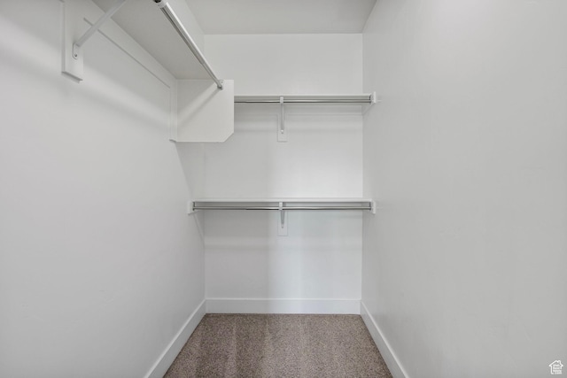 1371 W Stewart Falls Dr, Riverton, UT 84065 - spacious closet featuring carpet