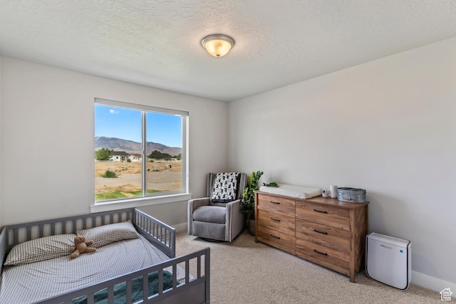 269 Cook Ln, Grantsville, UT 84029 - bedroom featuring light colored carpet, a mountain view, and a textured ceiling