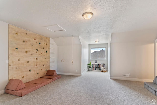 269 Cook Ln, Grantsville, UT 84029 - additional living space with attic access, carpet, and a textured ceiling