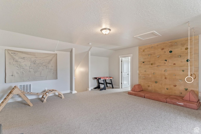 269 Cook Ln, Grantsville, UT 84029 - bonus room featuring carpet flooring, attic access, a textured ceiling, and lofted ceiling