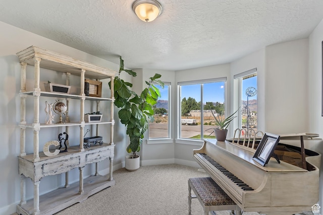 269 Cook Ln, Grantsville, UT 84029 - living area with carpet and a textured ceiling