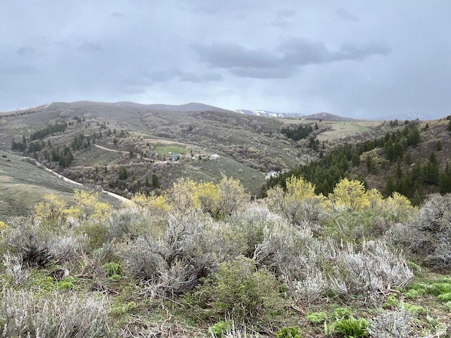 Pocatello, ID 83201