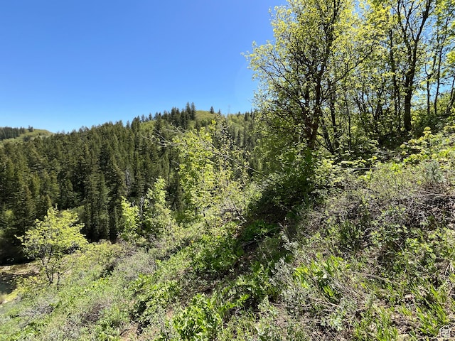 Pocatello, ID 83201