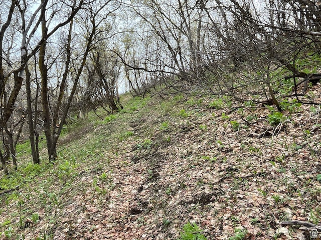 Pocatello, ID 83201