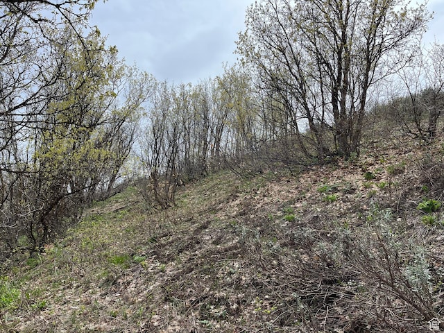 Pocatello, ID 83201