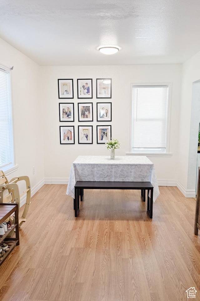311 W Center St, Springville, UT 84663 - dining space with healthy amount of natural light and light wood-type flooring