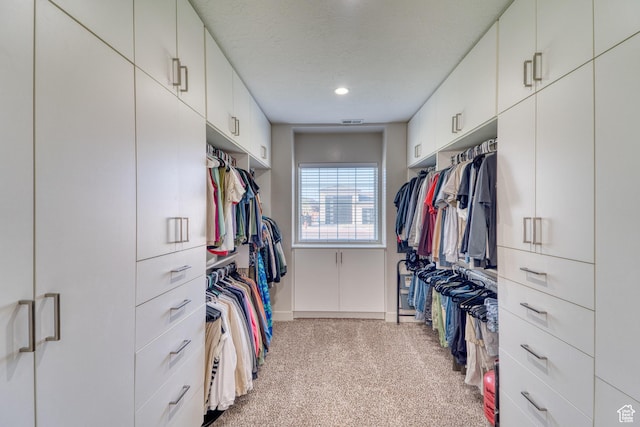 3410 W 2490 S, Hurricane, UT 84737 - spacious closet with light colored carpet