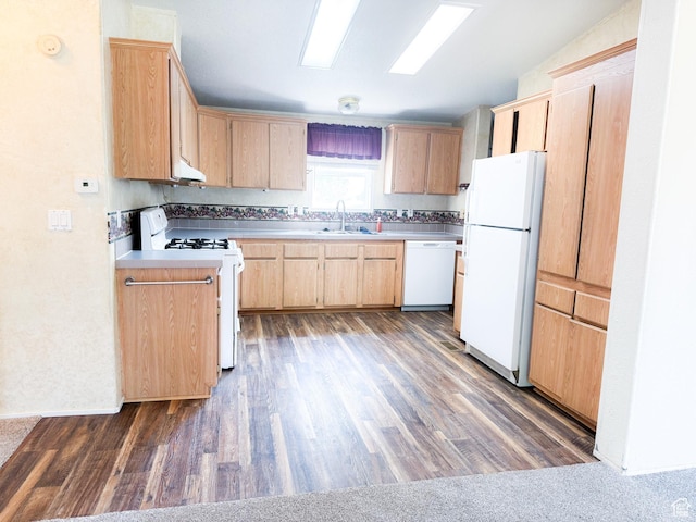 912 S W Redview Dr, Monroe, UT 84754 - kitchen with white appliances, light brown cabinetry, dark wood-style floors, and light countertops