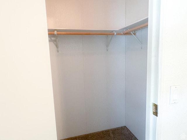 912 S W Redview Dr, Monroe, UT 84754 - walk in closet with carpet floors