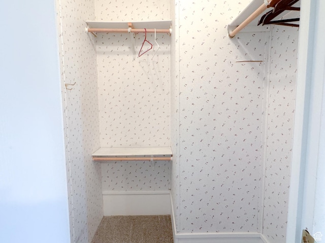 912 S W Redview Dr, Monroe, UT 84754 - walk in closet featuring carpet