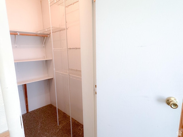 912 S W Redview Dr, Monroe, UT 84754 - view of walk in closet