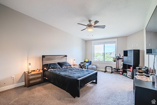 10452 S Sage Canal Way, Sandy, UT 84070 - photo 22