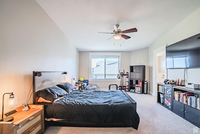 10452 S Sage Canal Way, Sandy, UT 84070 - photo 23