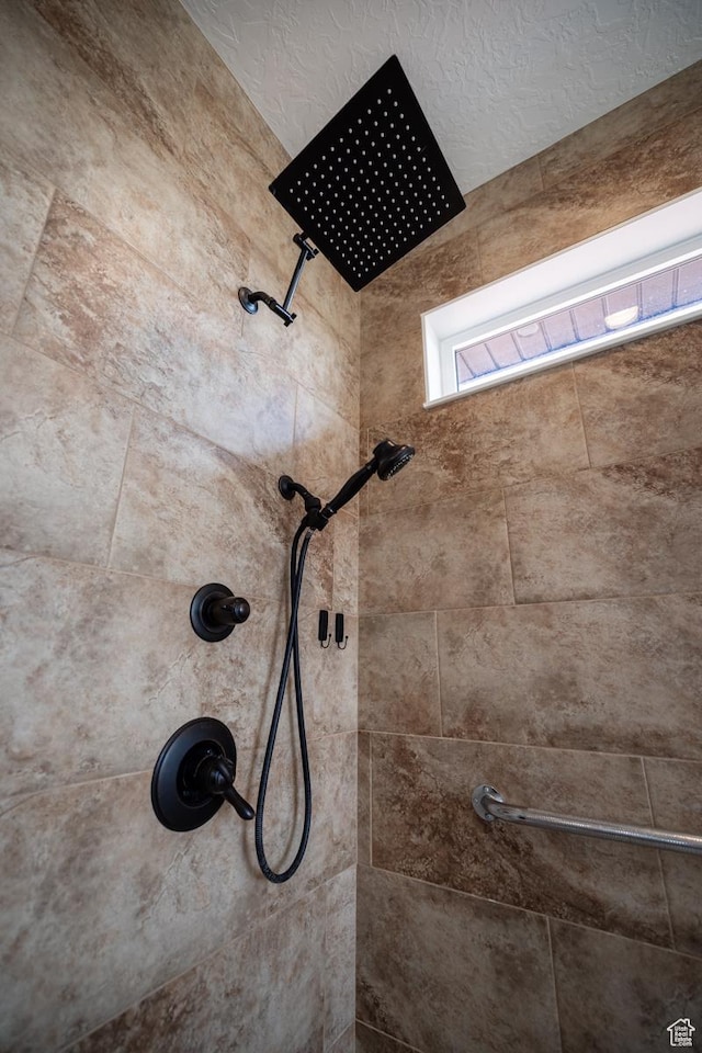 10371 N 400 W, Roosevelt, UT 84066 - full bath with tiled shower