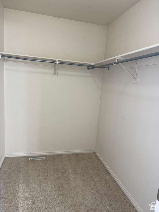 584 S Loafer Dr, Payson, UT 84651 - walk in closet with carpet floors