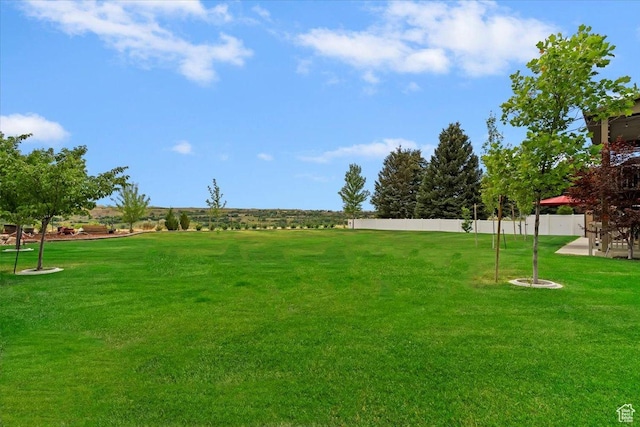 469 W 5700 S, Washington Terrace, UT 84405 - view of yard