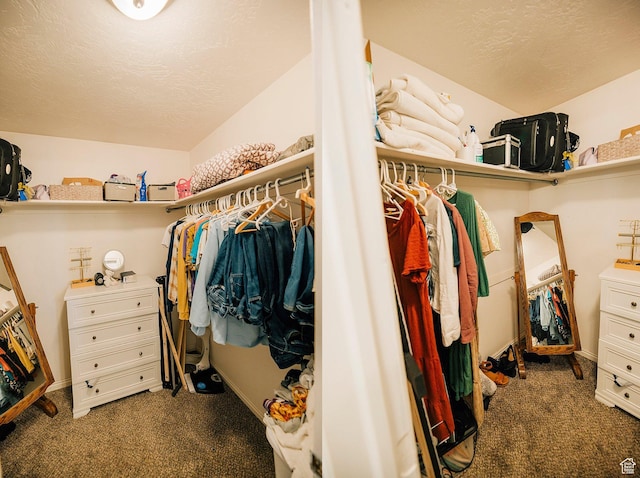 9961 N 4680 W, Cedar Hills, UT 84062 - walk in closet with carpet