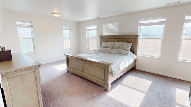 11393 S Prosperity Rd W, South Jordan, UT 84009 - bedroom with light colored carpet and multiple windows