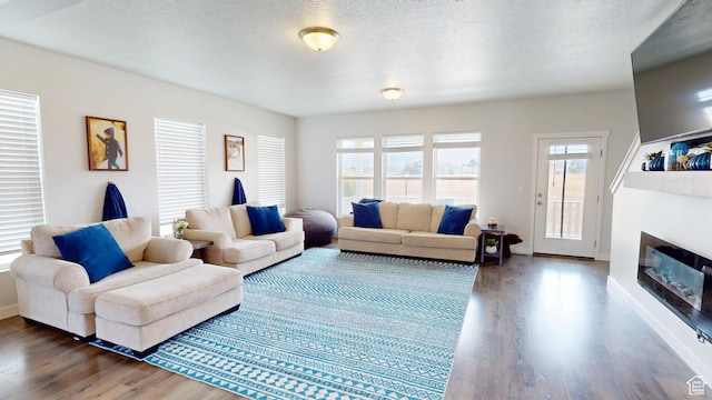 11393 S Prosperity Rd W, South Jordan, UT 84009 - living area featuring wood finished floors and a glass covered fireplace