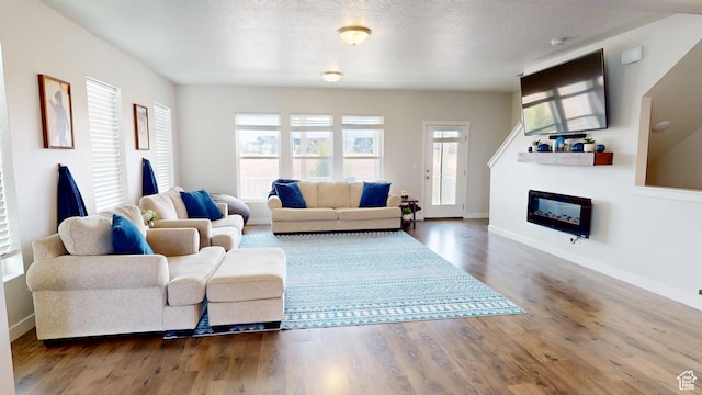 11393 S Prosperity Rd W, South Jordan, UT 84009 - living room with a glass covered fireplace and wood finished floors