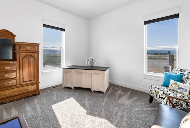 1952 N Sr 118, Monroe, UT 84754 - living area with dark colored carpet and baseboards