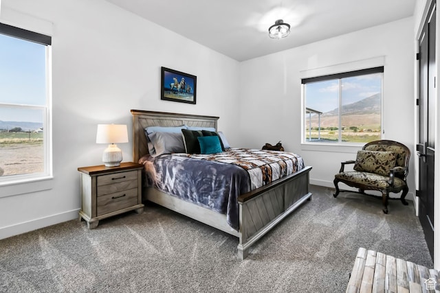 1952 N Sr 118, Monroe, UT 84754 - bedroom with carpet and baseboards