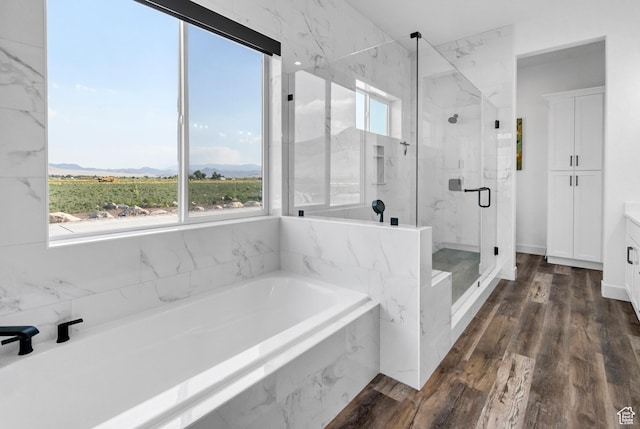1952 N Sr 118, Monroe, UT 84754 - bathroom with a bath, a marble finish shower, vanity, wood finished floors, and a mountain view