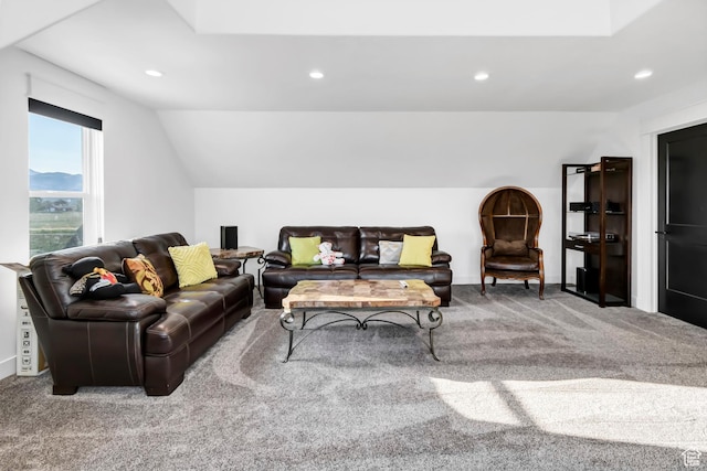 1952 N Sr 118, Monroe, UT 84754 - living area with carpet flooring, recessed lighting, and lofted ceiling