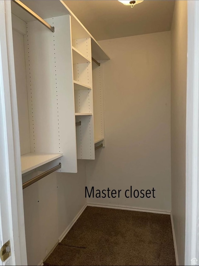 1192 W 4365 S Unit 1C, Salt Lake City, UT 84123 - walk in closet with carpet floors