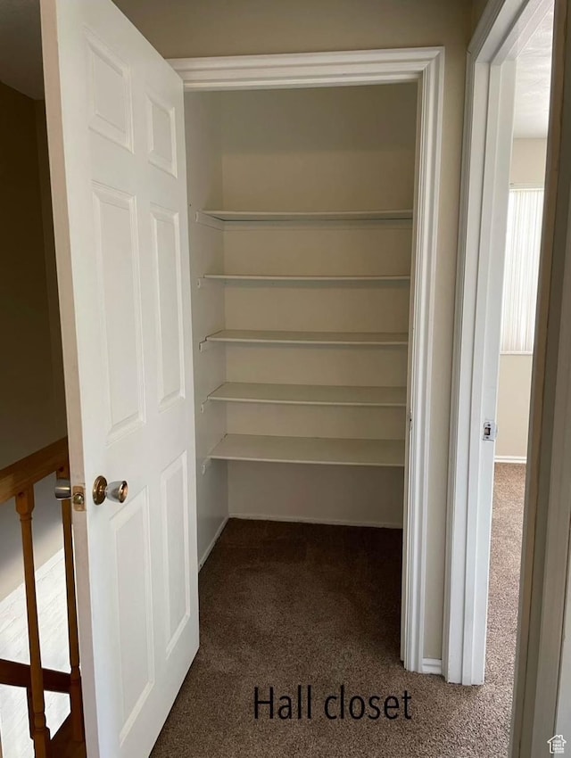 1192 W 4365 S Unit 1C, Salt Lake City, UT 84123 - view of closet