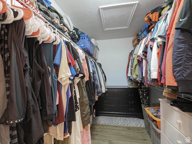 12102 S Mountain Peak Dr, Draper, UT 84020 - spacious closet featuring attic access and wood finished floors