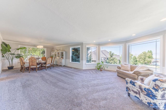 1320 E Canberra Dr, Lindon, UT 84042 - carpeted living area featuring crown molding, healthy amount of natural light, a textured ceiling, and recessed lighting