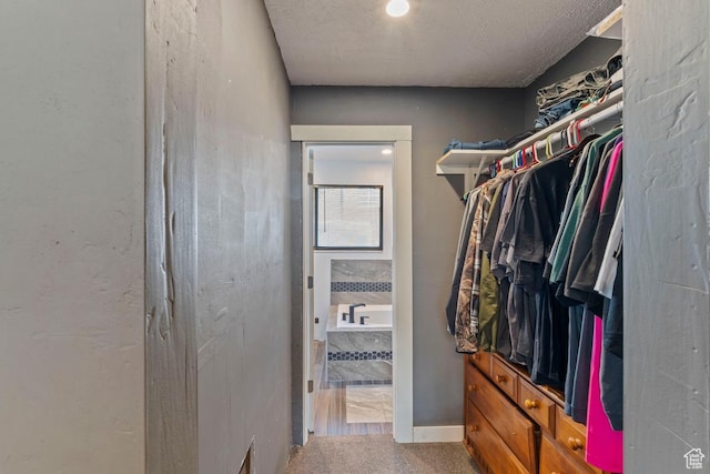 961 Hillview Rd, Brigham City, UT 84302 - view of spacious closet