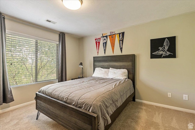 14618 S Gallatin Ln E, Draper, UT 84020 - bedroom with carpet floors and multiple windows