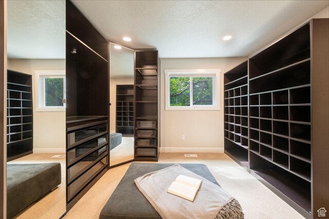 3603 E Macintosh Ln, Cottonwood Heights, UT 84121 - walk in closet featuring carpet