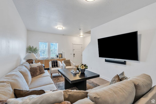 330 N 680 E Unit 330, Vineyard, UT 84059 - living room with wood finished floors and a textured ceiling