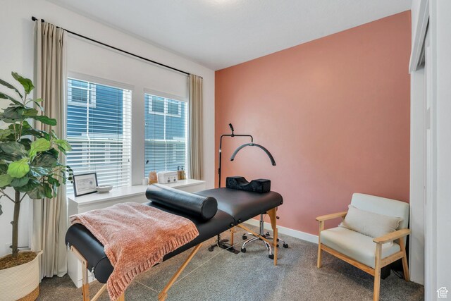 330 N 680 E Unit 330, Vineyard, UT 84059 - bedroom featuring carpet floors and baseboards