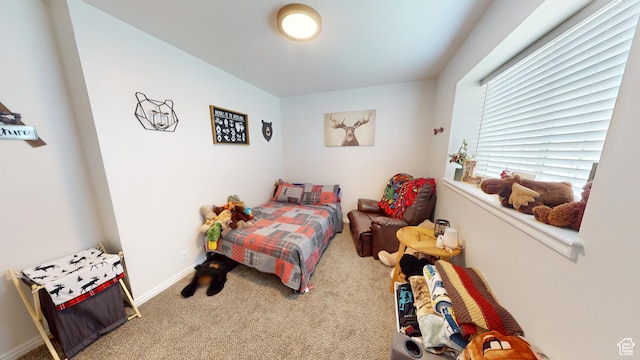 1018 S 810 W, Tooele, UT 84074 - photo 27