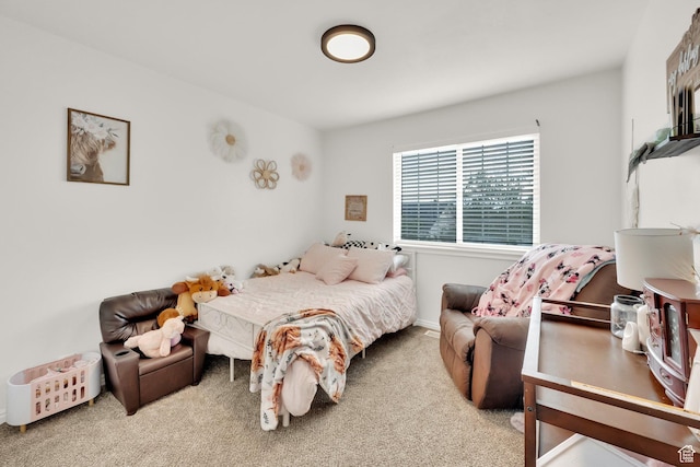 1018 S 810 W, Tooele, UT 84074 - photo 37