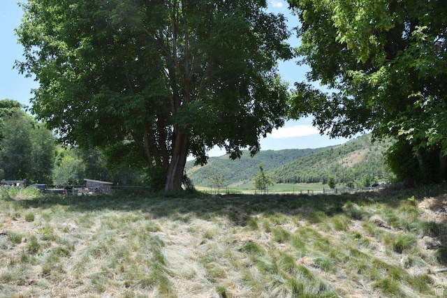 4675 Glendale Rd, Preston, ID 83263 - photo 23