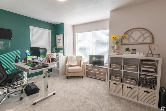 2006 N Red Yearling Dr, Saratoga Springs, UT 84045 - office area featuring carpet and a textured ceiling