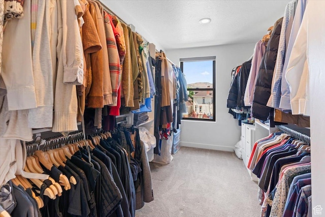 537 S 500 E Unit 106, Salt Lake City, UT 84102 - walk in closet with light colored carpet