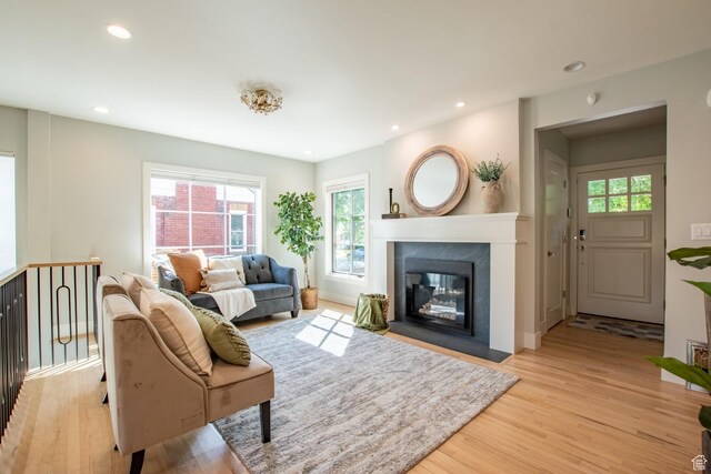 1127 S Denver St S, Salt Lake City, UT 84111 - living area featuring light wood-style floors, plenty of natural light, a premium fireplace, and recessed lighting