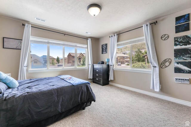 14346 S Fort Duchesne Cv, Herriman, UT 84096 - carpeted bedroom featuring multiple windows and a textured ceiling