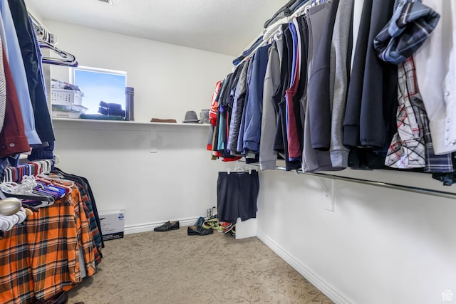 14346 S Fort Duchesne Cv, Herriman, UT 84096 - spacious closet featuring carpet floors