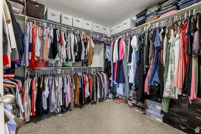 14346 S Fort Duchesne Cv, Herriman, UT 84096 - walk in closet featuring carpet floors