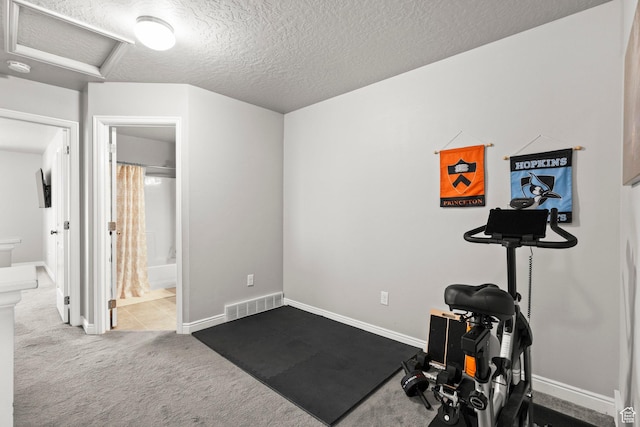 3733 N Prairie Grass Dr W, Lehi, UT 84043 - workout room featuring attic access, carpet floors, and a textured ceiling