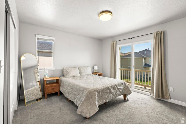 3733 N Prairie Grass Dr W, Lehi, UT 84043 - carpeted bedroom with access to outside and a textured ceiling