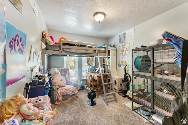 2601 N 720 W, Clinton, UT 84015 - bedroom featuring carpet flooring and a textured ceiling