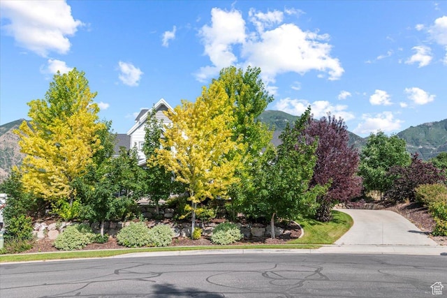 1157 S 925 E, Salem, UT 84653 - photo 2